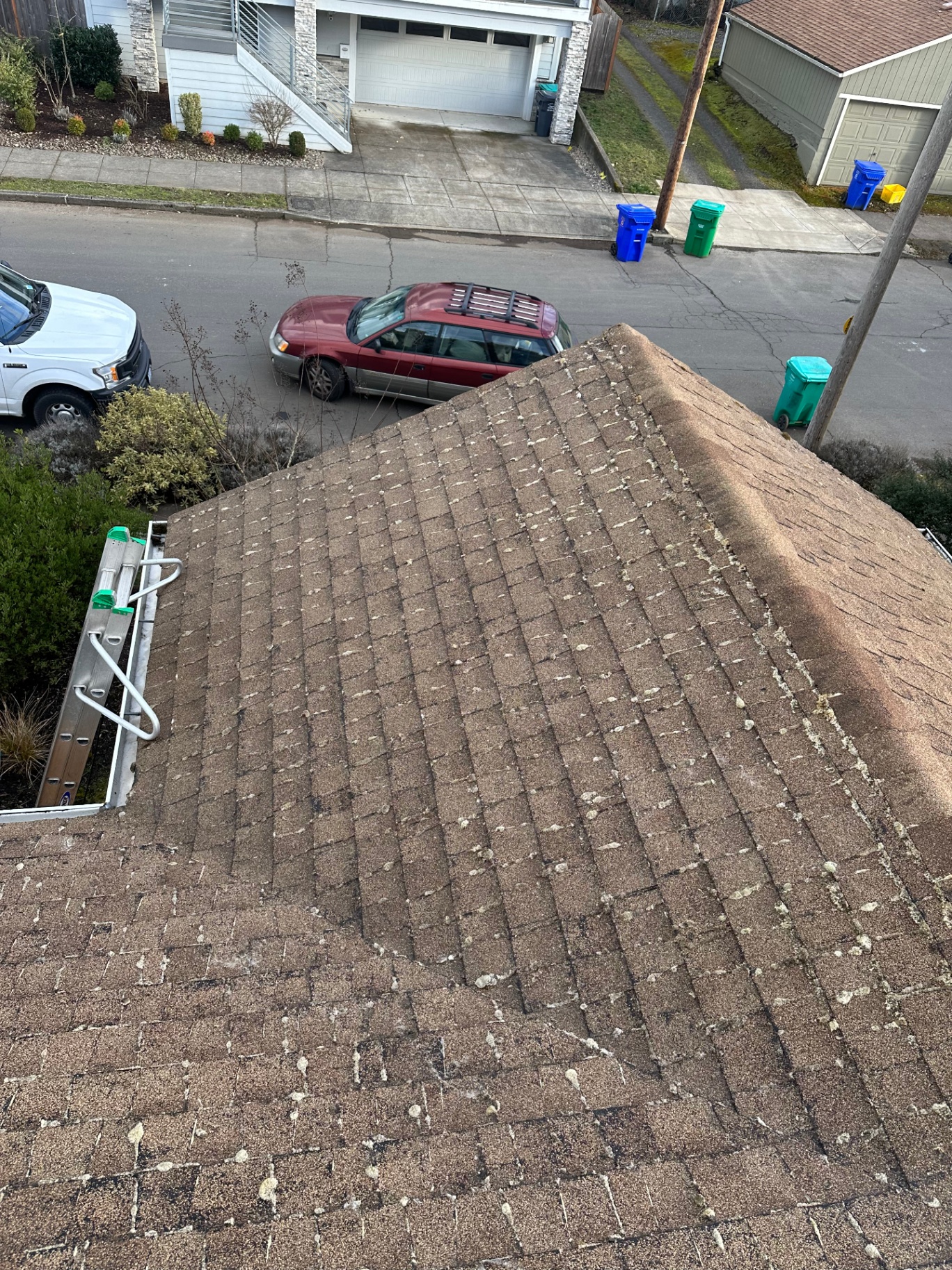 Heavy moss removed from composition shingle roof — after