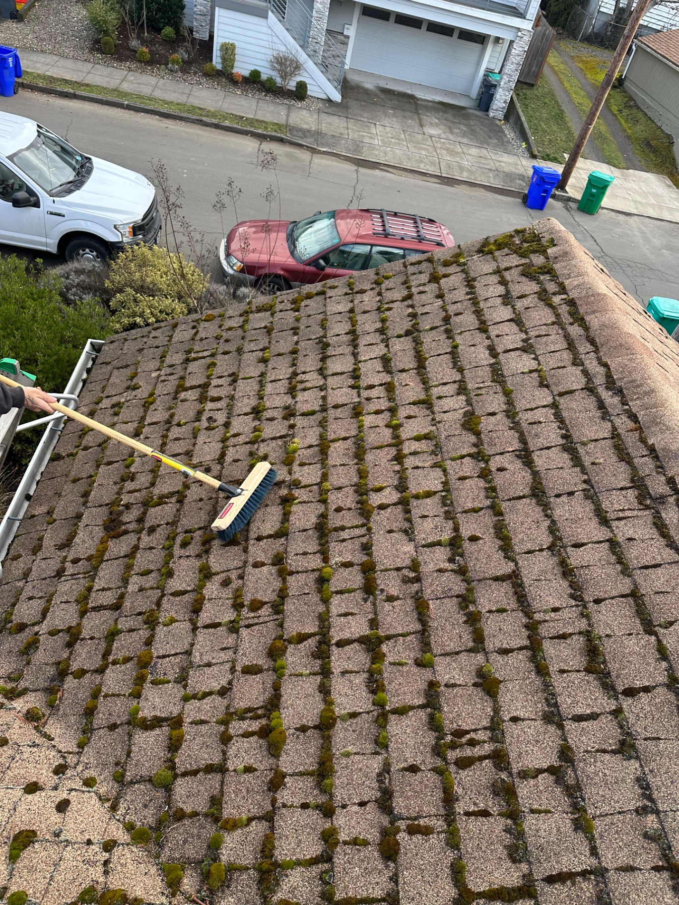 Heavy moss removed from composition shingle roof — before